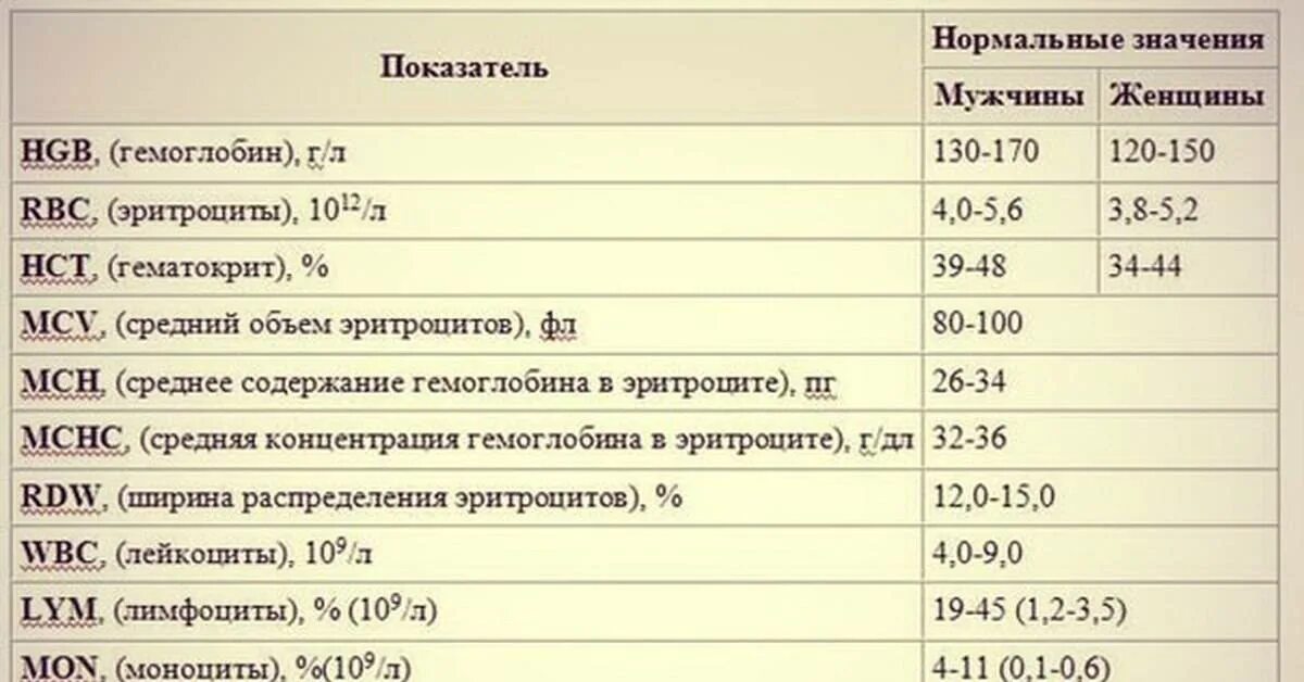 П л в крови. Норма показателей крови у женщин таблица общий анализ. WBC В анализе крови норма. Общий анализ крови показатели WBC. WBC анализ крови расшифровка норма у женщин.