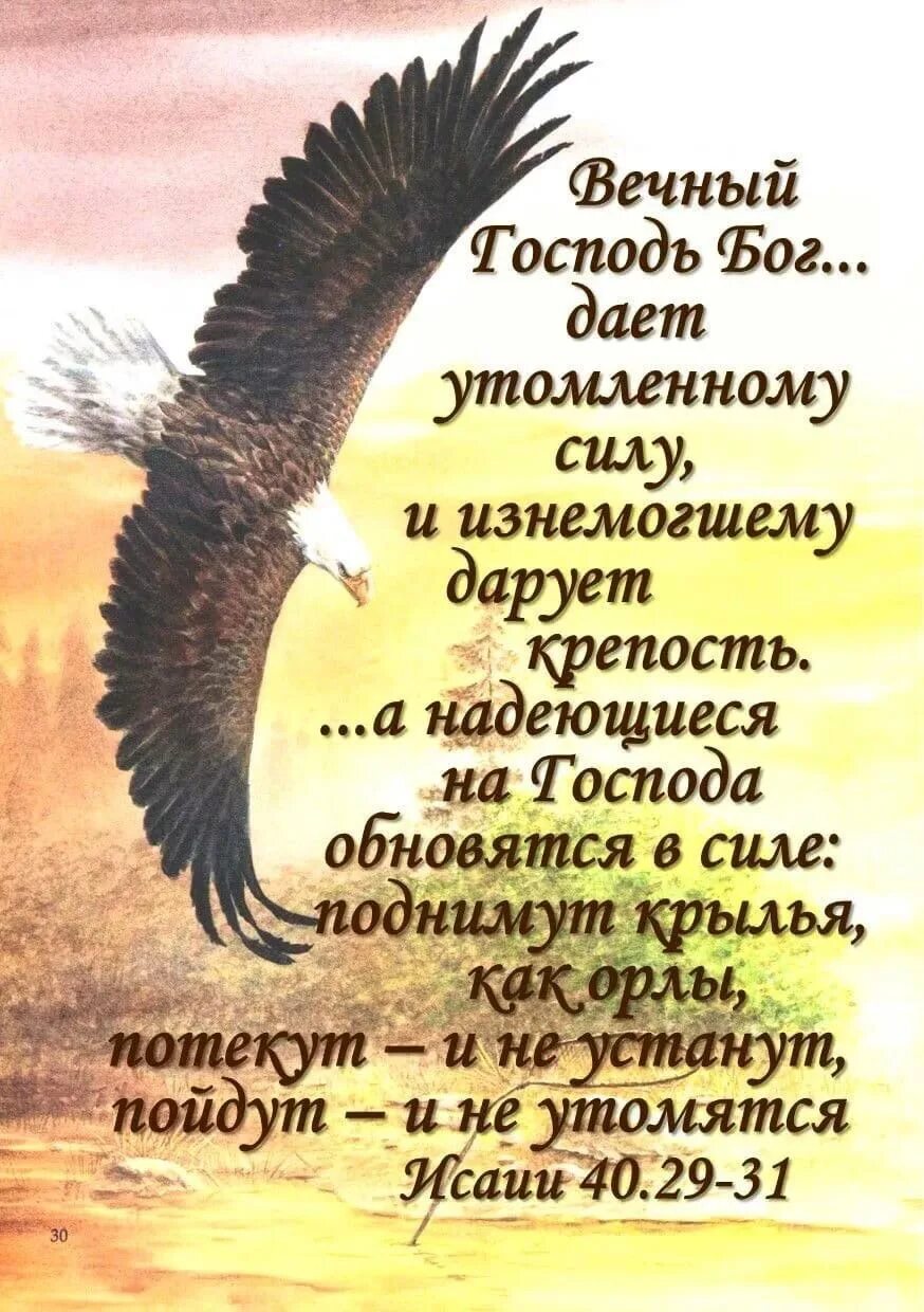 Надеющиеся на господа поднимут крылья как орлы. Надеющиеся на господа. христианские цитаты. надеющийся на господа поднимут крылья. стихи про бога.