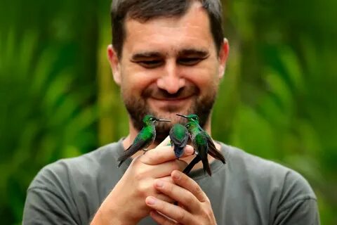 Колибри и мавик взгляни