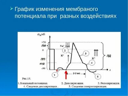 График изменения потенциала