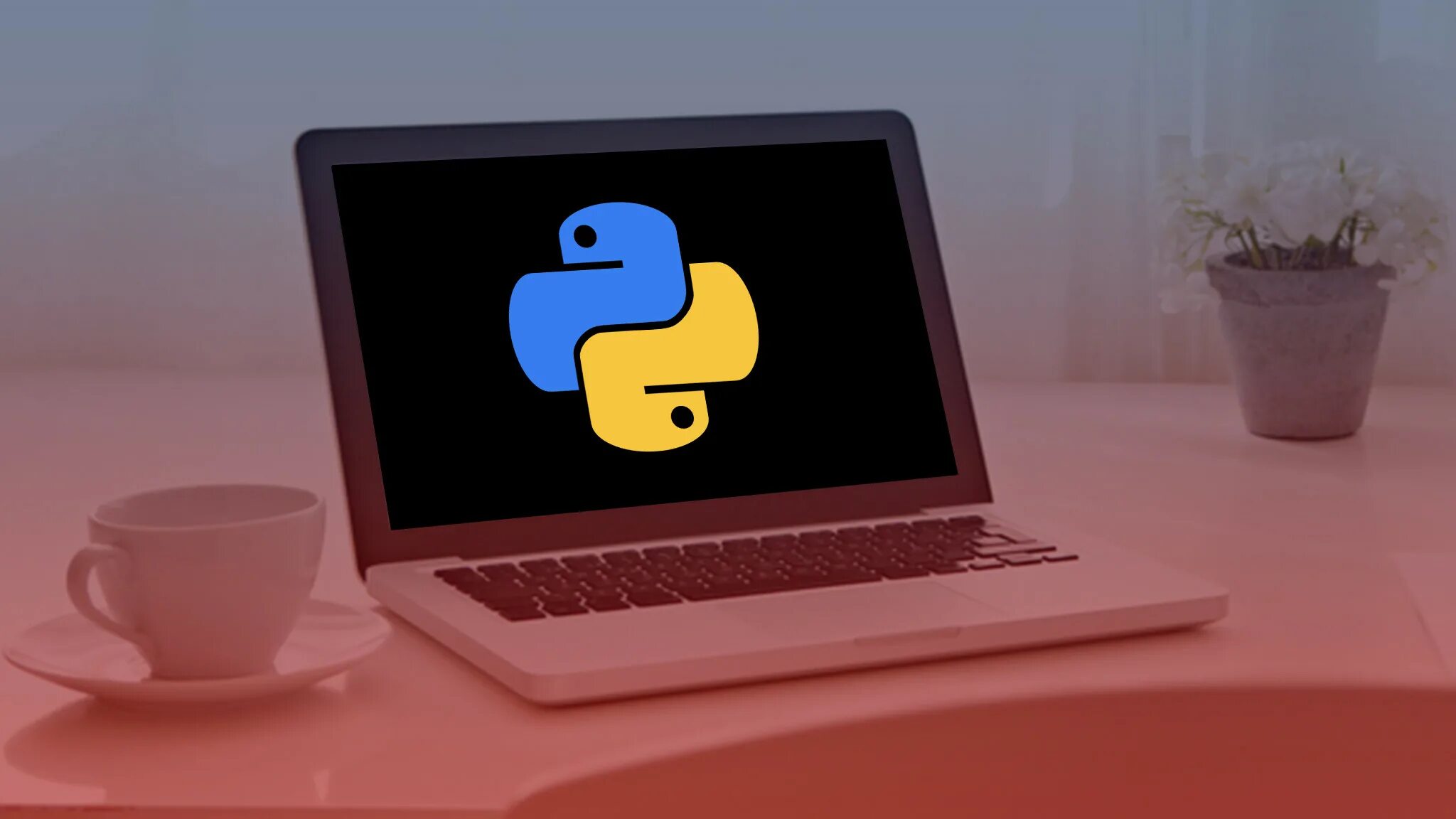 Python course. Python на компьютере. компьютер питон. питон на аймак. python full course.