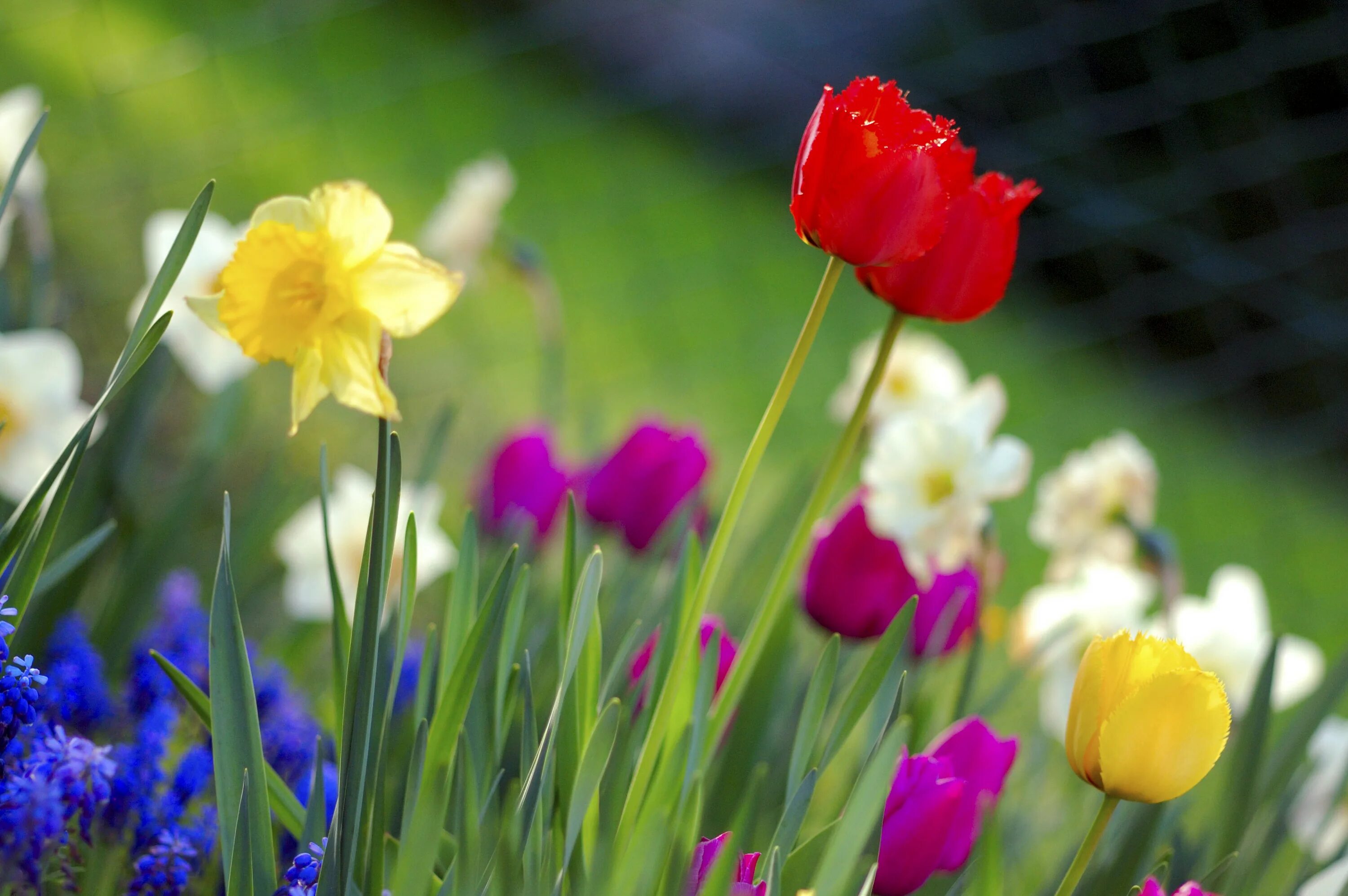 First day of spring