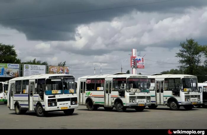 Расписание 1 кстово старое. Расписание 1 кстово старое. Расписание автобусов сокол вологодская область по городу. Автобусы сокол вологда 2022 расписание автобусов. Расписание автобусов сокол вологодская область по городу 2021 новое.