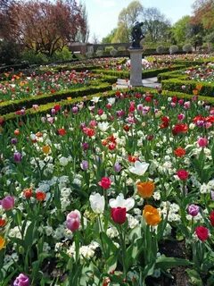 Holland park