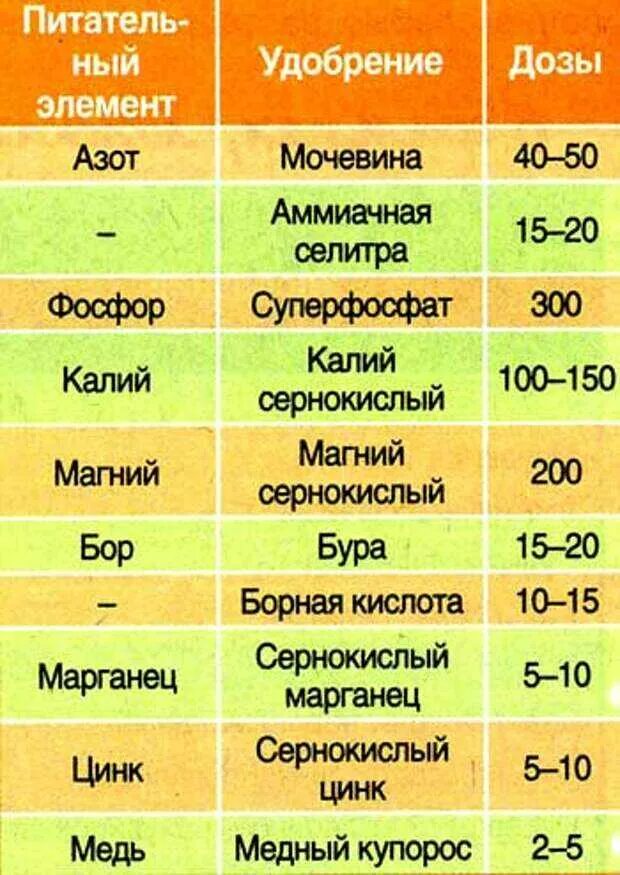 Какое удобрение надо вносить. Таблица внесения органических удобрений для растений. Удобрения для овощных культур таблица. Таблица внесения удобрений на даче. Минеральные удобрения для растений таблица.