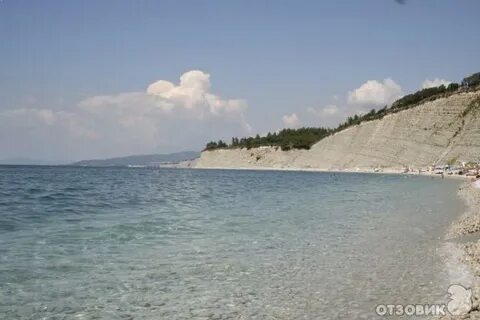 Куренок дивноморское
