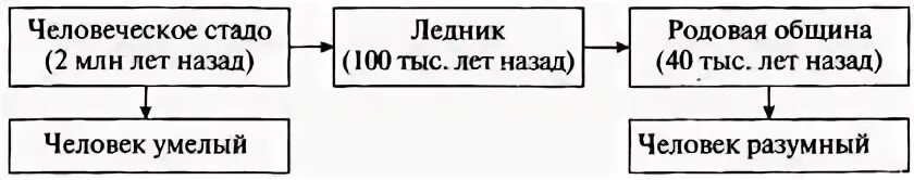 Стадо род. Переход от родовой общины к соседской. Соседская община это 5 класс. Что такое род племя община. Стадо род.