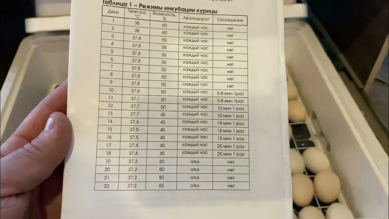 Таблица для инкубатора куриных яиц несушка. Инкубационный режим куриных яиц. Таблица инкубации инкубатор ovo. Инкубатор Несушка таблица. Режим инкубатора для куриных яиц.