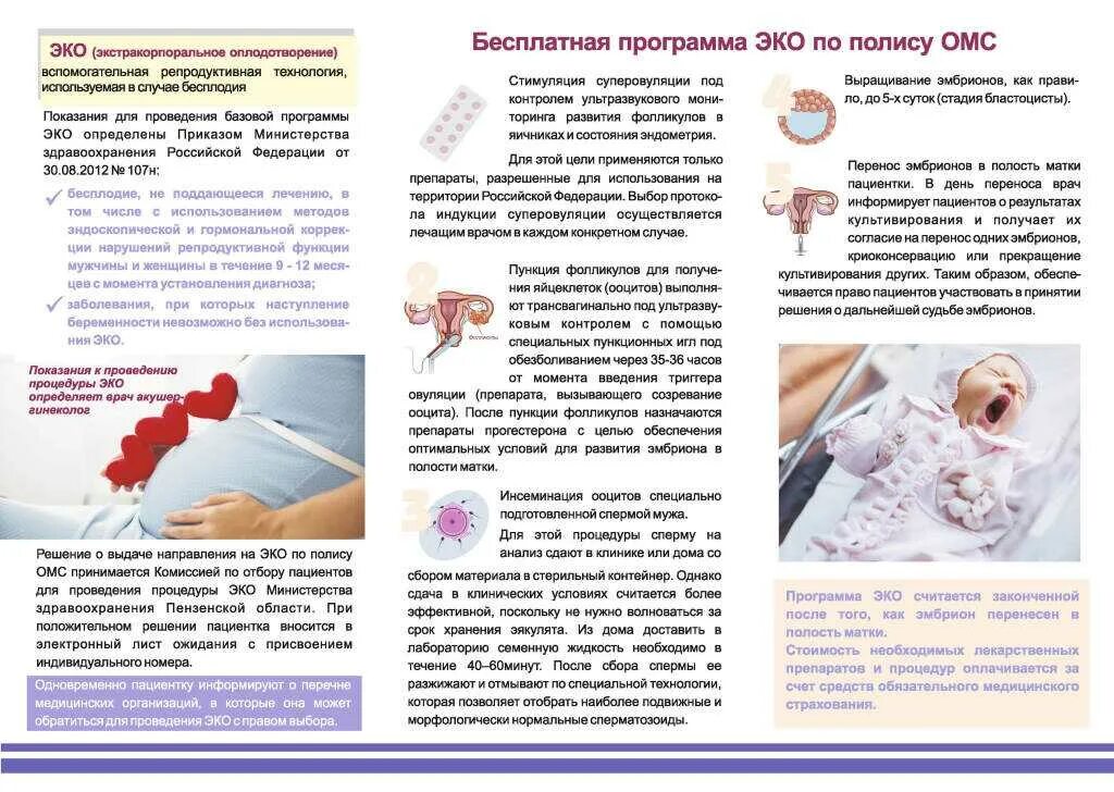 Сделать эко в москве сколько. Экстракорпоральное оплодотворение буклет. эко по омс. процедура проведения эко. памятка по бесплодию.