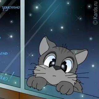 И жду тебя я не понимая зачем