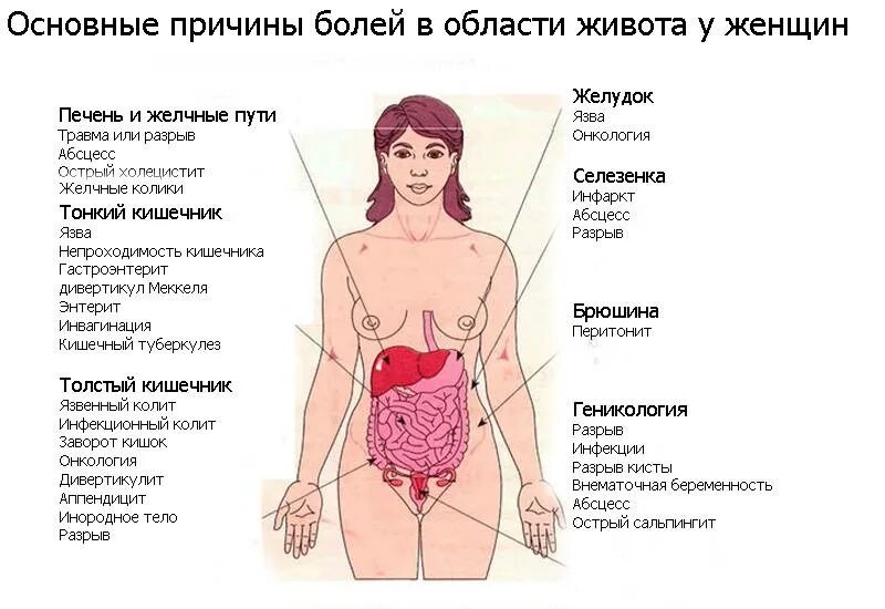 Ноет внизу живота отдает в поясницу. Болит низ живота. Болит левый бок внизу живота. Органы внизу живота у женщин. Болит низ живота у женщины.