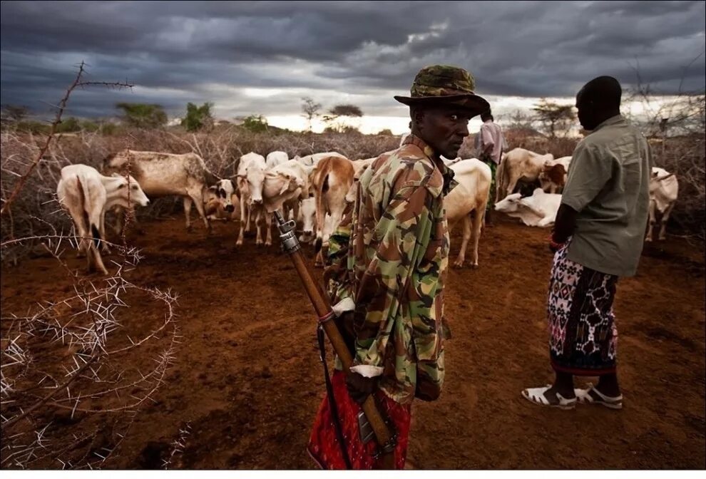 Какие занятия в африке. Мадагаскар сельское хозяйство. Фабрики африки мали. Папуасы земледелие. Эфиопия население.