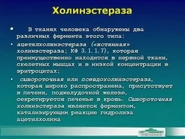 Холинэстераза это
