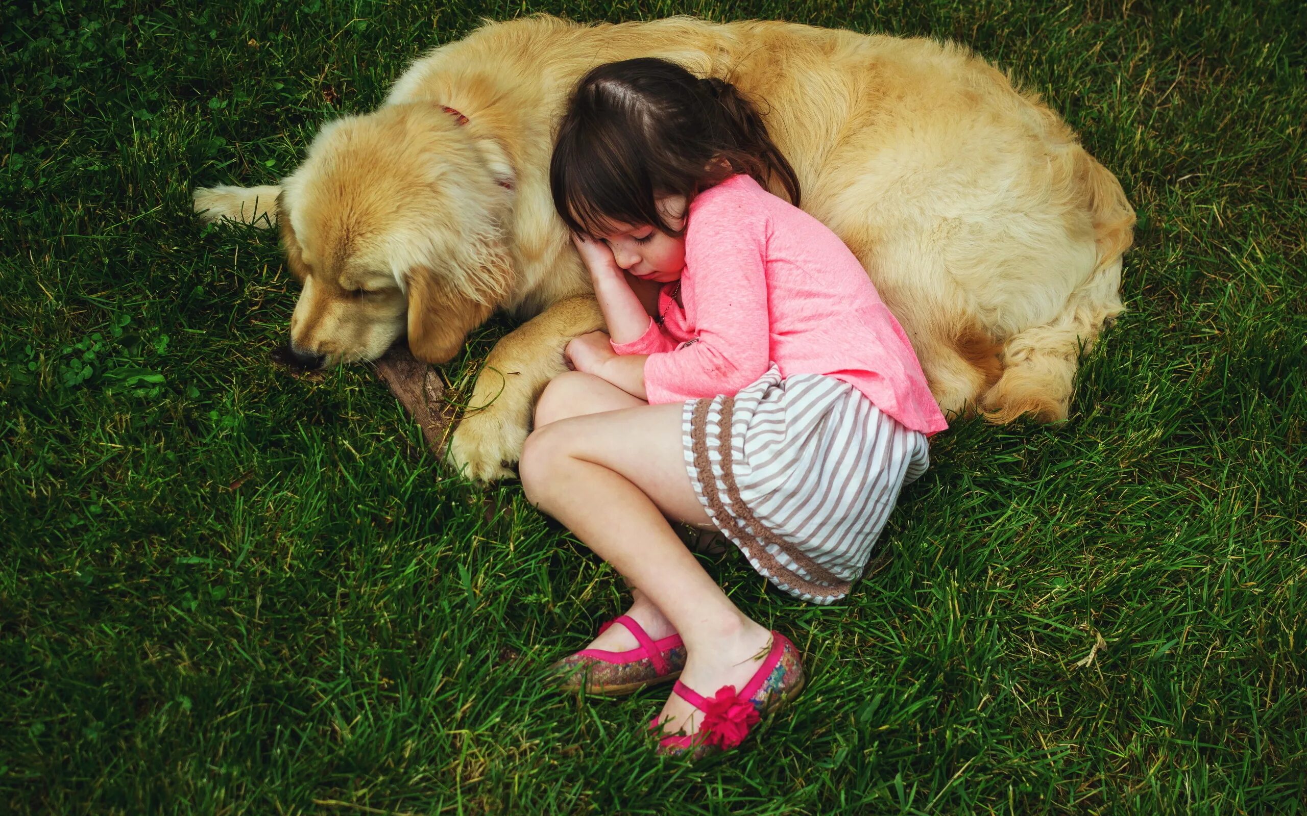 Young petting. Девочка с собакой. Собака для детей. Девочка и щенок. Фотосессия с маленькой собакой.