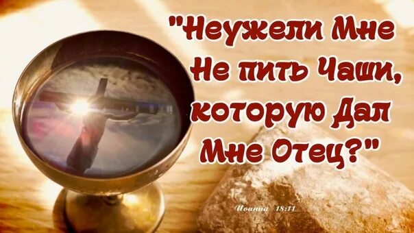 Чаша пить. «неужели мне не пить чаши, которую дал мне отец?» (ин. 18:11). чаша мудрости. чаша христова. господь и чаша.
