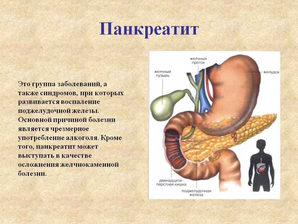 Железы желудка заболевания. Панкреатит биология 8 класс. Болезни пищеварительной системы человека панкреатит. Система пищеварения поджелудочная железа. Заболевания поджелудочной железы биология 8.