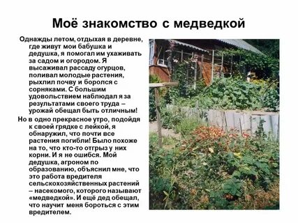 Сочинение огороде