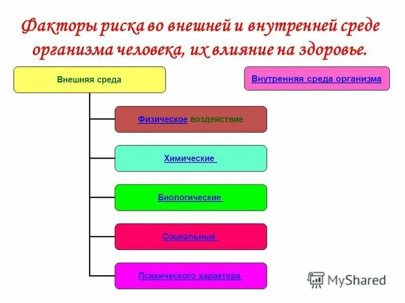 Социальное и физическое окружение. Факторы определяющие общественное здоровье. Что относится к социальным факторам. Физическое окружение человека. Физическая среда социальных изменений.