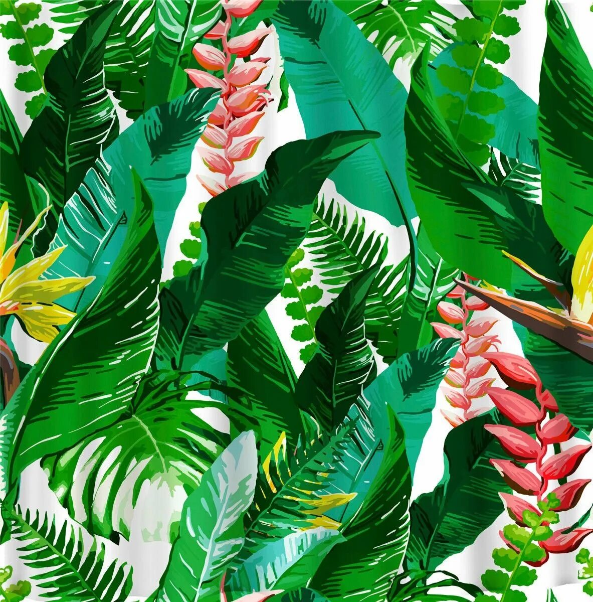 Джунгли тропики маранта. Листья тропики маранта. Алмазная мозаика "тропики". Тропические цветы.