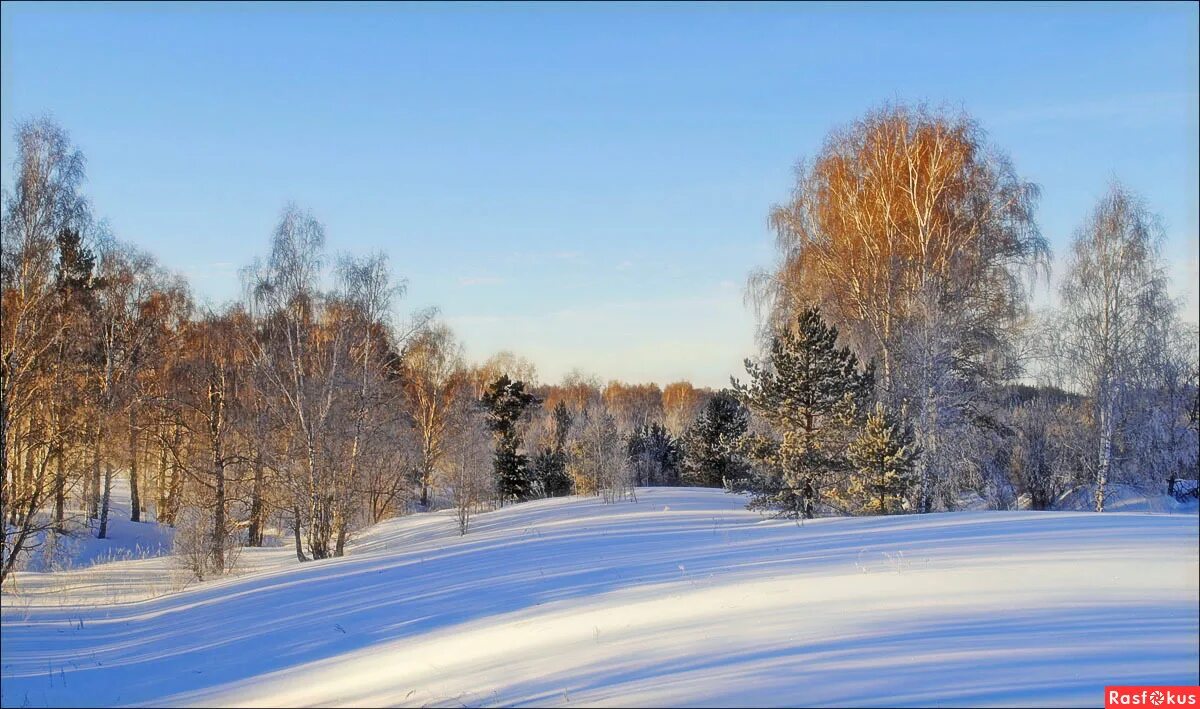 Солнечных дней в нижнем новгороде