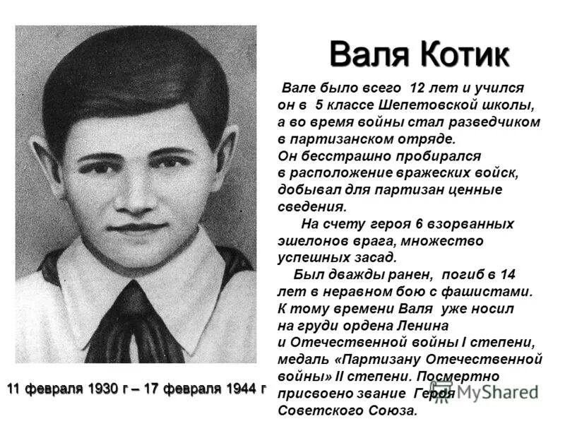 герои великой отечественной котик