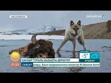 Ұлымен жыныстық қатынасқа түскен әдемі ана