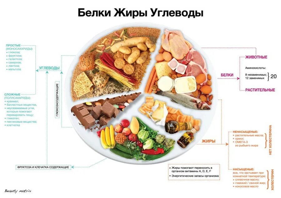 Белки жиры углеводы прочее. Правильное соотношение белков жиров и углеводов в правильном питании. Баланс рациона питания белки жиры углеводы. Белки жиры углеводы соотношение правильное питание при похудении. Правильное питание белки жиры углеводы таблица.