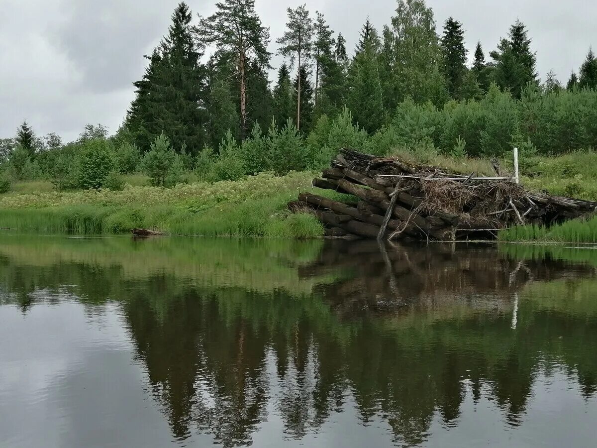 Уровень воды в унже сегодня. Унжа (Костромская область). Река Унжа Кологривский район. Река ВИГА Чухломский район. Село Унжа Костромская область.