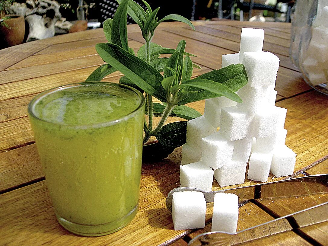 Стевия рецепт. Трава заменитель сахара. Стевия медовая травка. Стевия листья. Stevia сахарозаменитель растение.