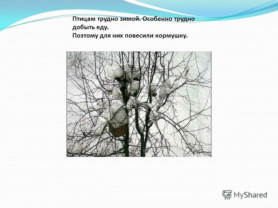 Стихи про помощь птицам зимой. Трудно птицам зимой холодно. Почему птицам зимой холодно. Статья на тему зима. Как помочь зимующим птицам.