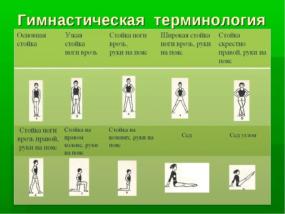 Гимнастические положения