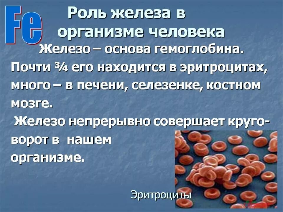 Роль элемента железа в организме. Иоль железа в организме. Железо роль в организме человека. Роль железа в крови человека.