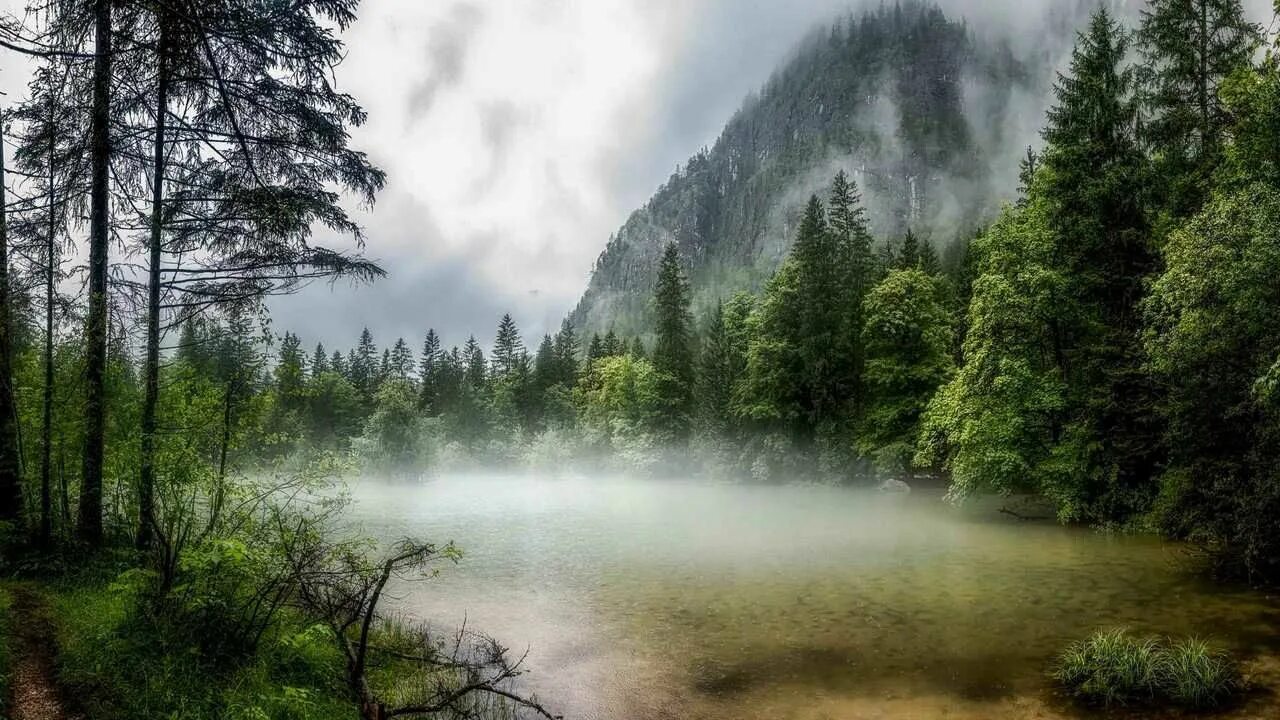 Мрачный лес. Горы и лес в тумане 4к. Лес горы туман. Горы в тумане. Smoke cloak.