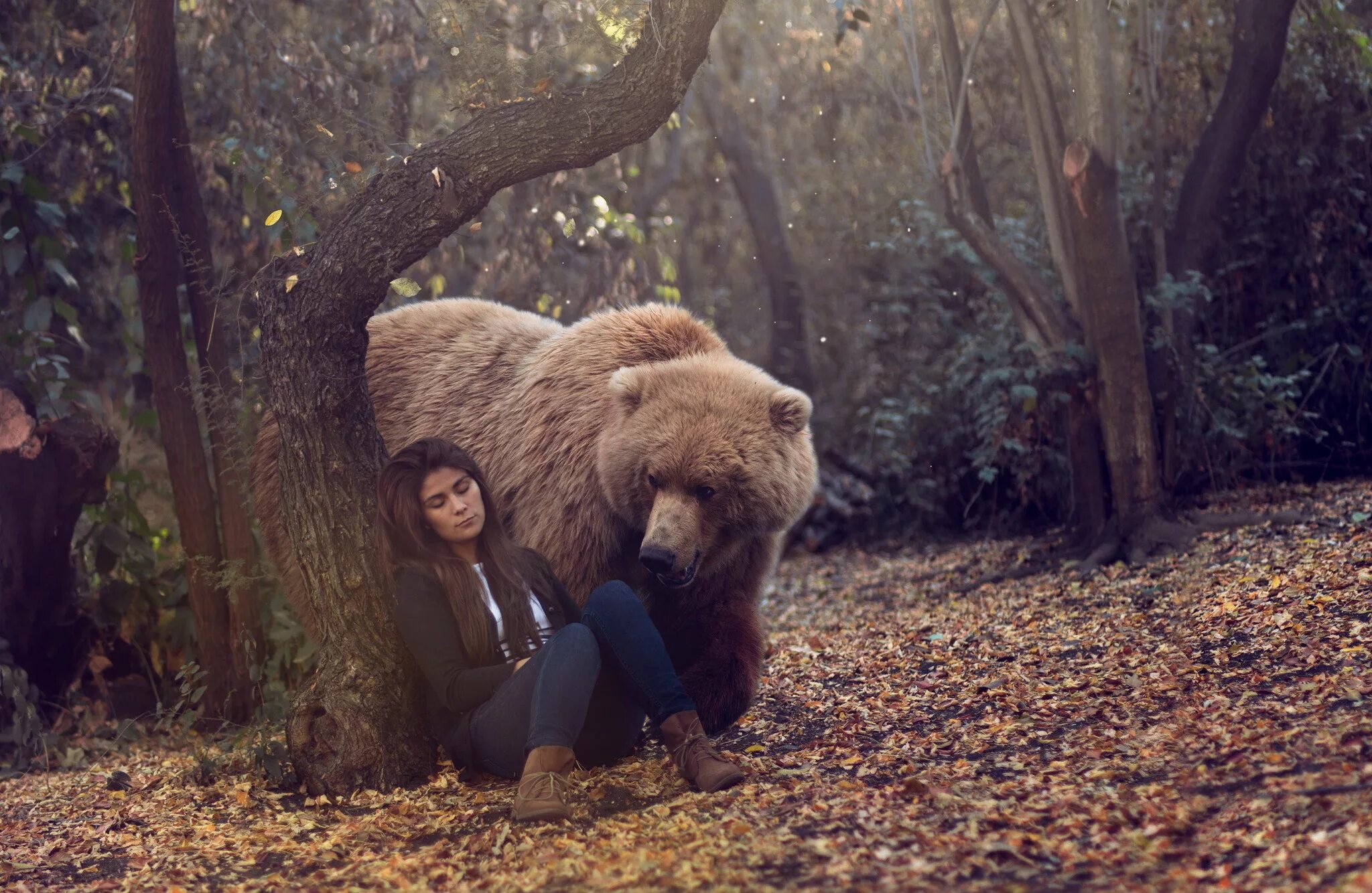 Bear s eye. Фотосессия с медведем. Фотосессия с медведем в лесу. Девушка и медведь. Медведь в лесу.