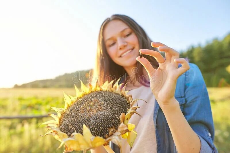Лузгать семечки. Семечка девочка. Семечки девушка. Видео как маленькая азиатская девочка готовит. Щелканье семечек.