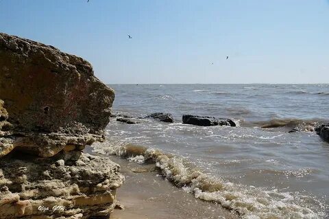 Азовское море ростовская