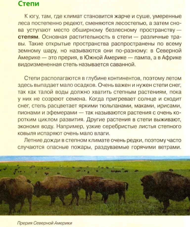 Географическое положение степи в северной америке. Степи прерии Северной Америки. Сообщение о прерии. Климат прерий Северной Америки. Название степей на разных материках.