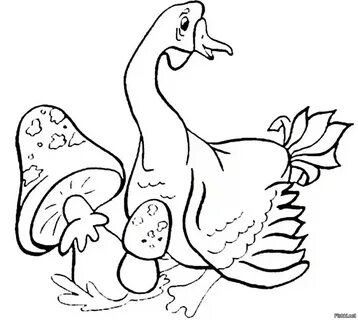 Солянка горячее за всё время - стр.7414