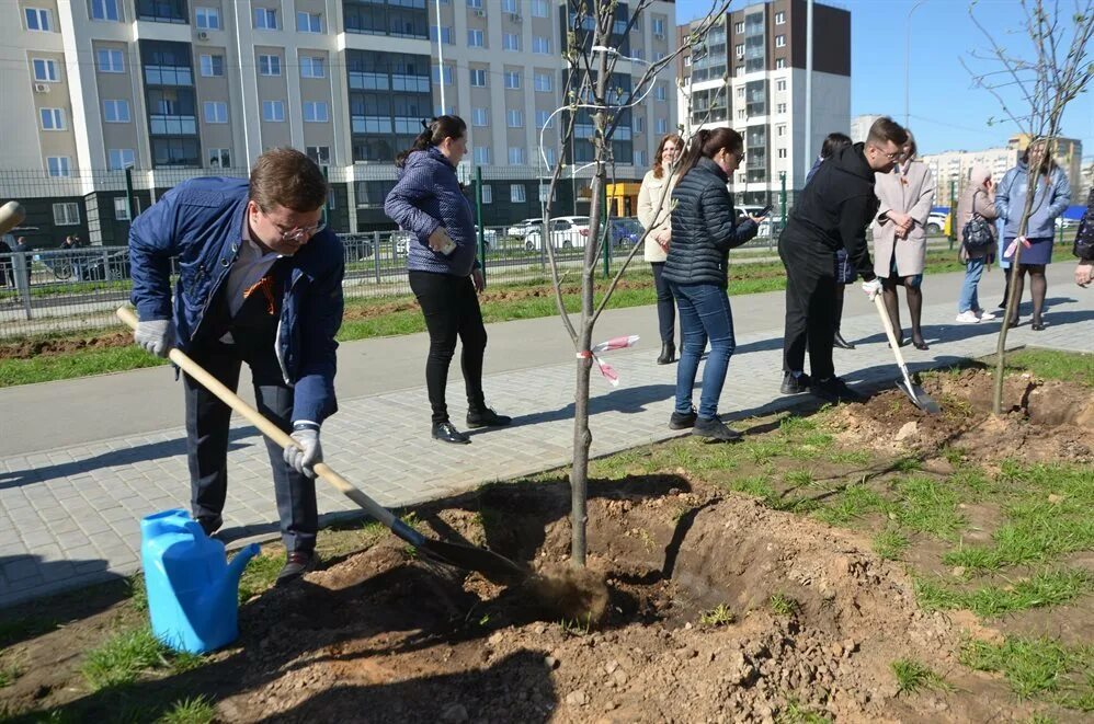 Посадка деревьев 2025. Губернаторский инженерный лицей 102 ульяновск. высадка деревьев. субботник высадка деревьев. сажать деревья.