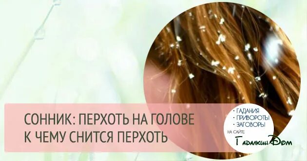 Сон перхоть в волосах. Сон перхоть в волосах. Сон перхоть в волосах. Сон перхоть в волосах. Сон перхоть в волосах.