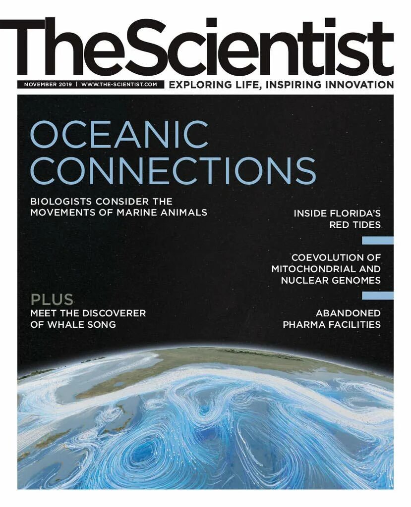 Флора мартинес. Coldplay scientist video. The scientists. Coldplay scientist video. Coldplay, seeb - the scientist.