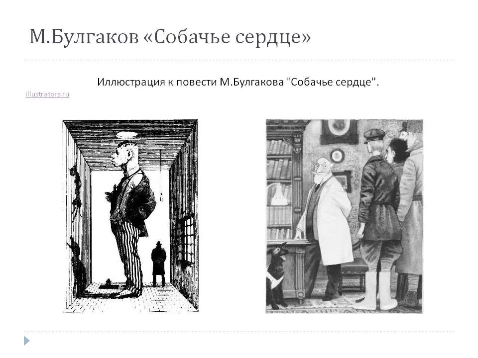 Собачье сердце это повесть. Повесть булгакова собачье сердце. иллюстрации к повести собачье сердце булгакова. иллюстрации собачье сердце иткин.