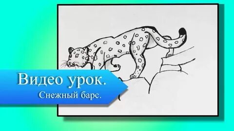 Цифры в поисках снежного барса