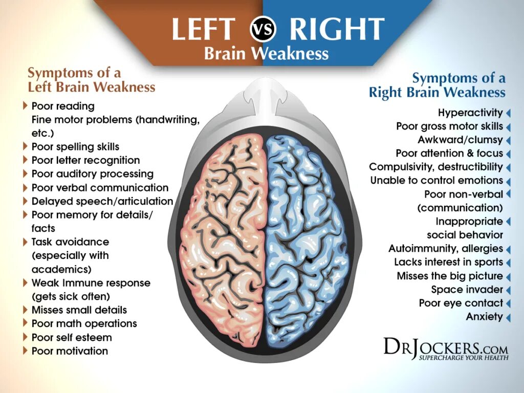 Leave the brain. Left and right Brain. Left Brain right Brain. Brain left and right Hemisphere. Left Side Brain.