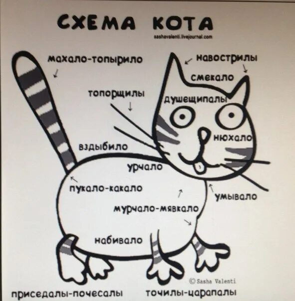 Составить схемы кот. Схема кота. шуточная схема кота. прикольные схемы. схема кота мурчало.