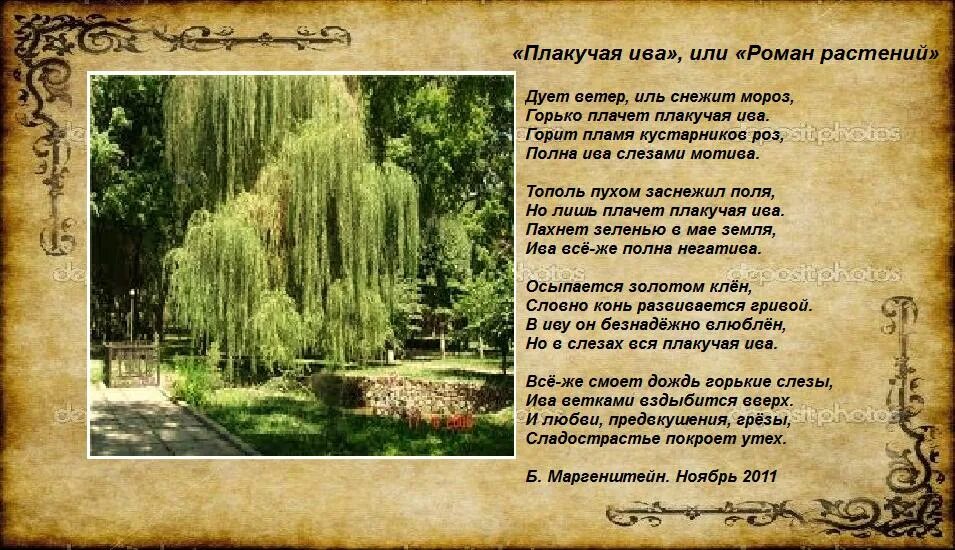 Есть имя ива. Есть имя ива