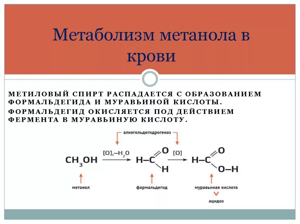 Формальдегид выделяется. Механизм ингибирования метанола. Метаболиты метилового спирта. Метаболизм метанола. Окисление метанола в организме.