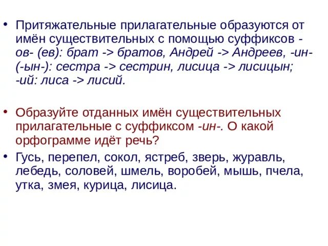 Суффиксы притяжательных прилагательных примеры. Притяжательные прилагательные суффиксы. Притяжательные имена прилагательные примеры. Притяжательные прилагательные 6 класс правило.