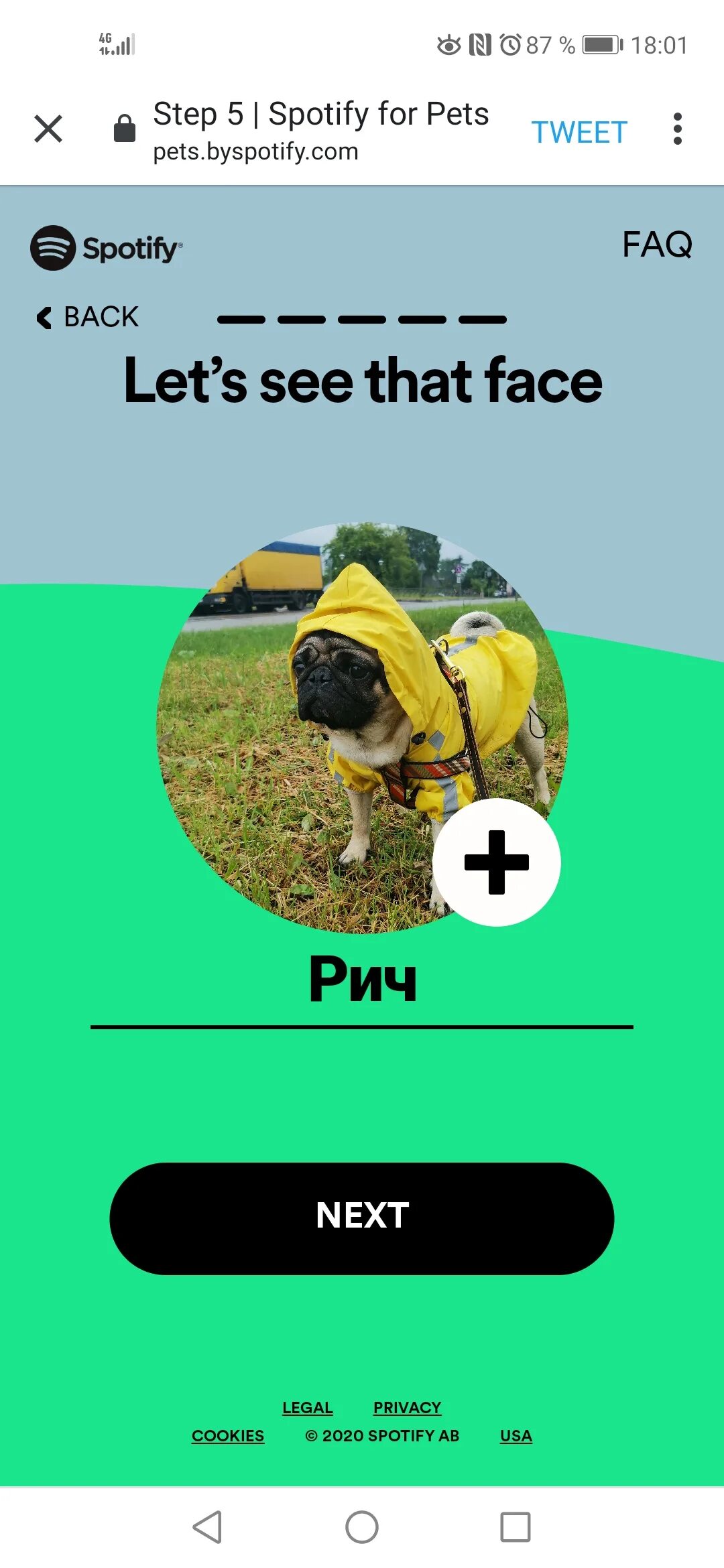 Как сделать так чтобы спотифай работал. &quot;pet&#039;s spotify&quot; как сделать.