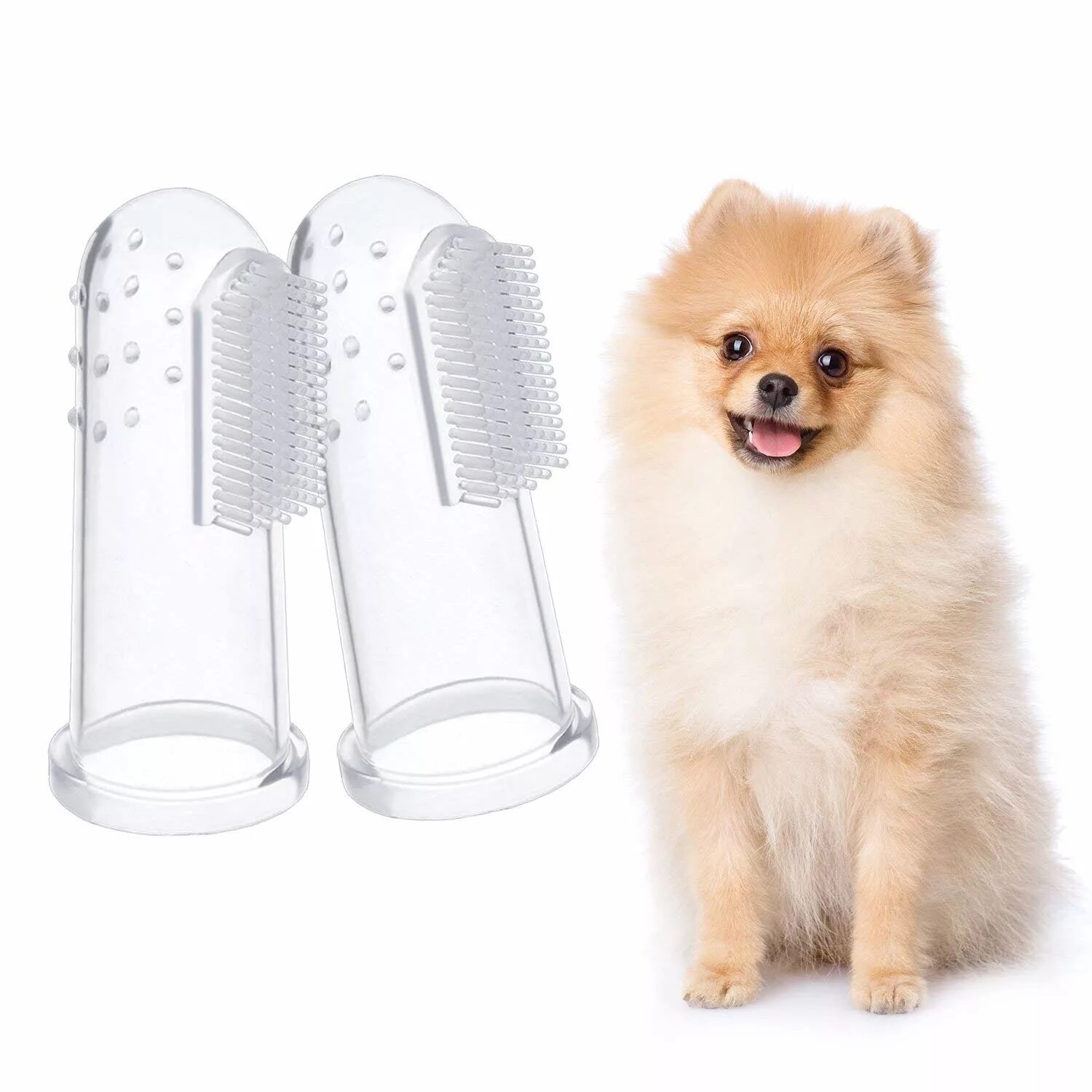 Зубная щетка для шпица. Как чистить зубы шпицу. Ультразвуковая чистка зубов шпицу. Померанский шпиц вычесанный. Как чистить зубы шпицу.